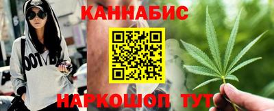 сатива Бердск